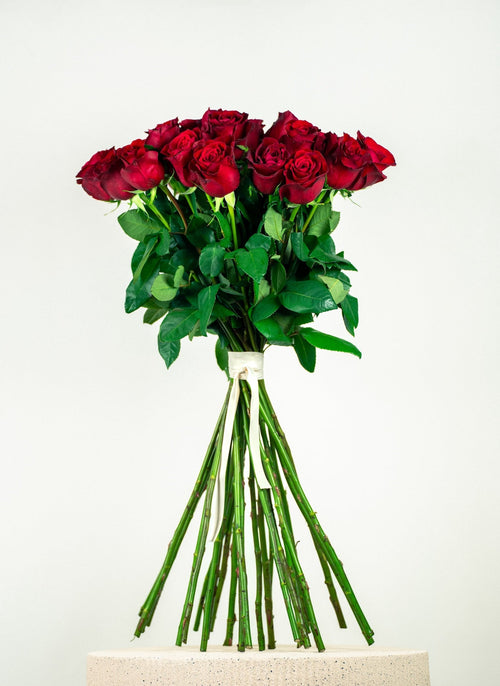 Clásica Roja Desnuda