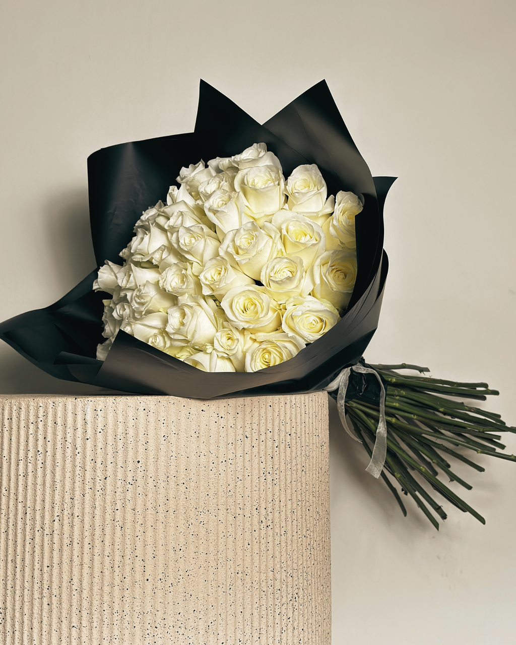 CRISTÓBAL COLÓN XL - 51 ROSAS