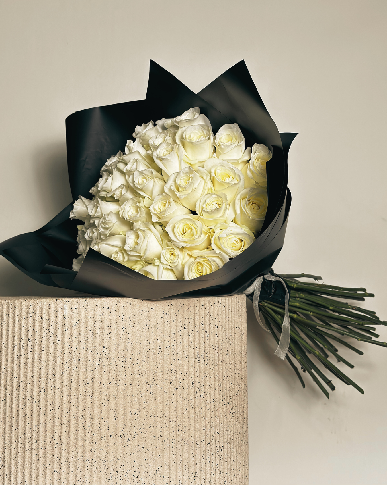 CRISTÓBAL COLÓN XL - 51 ROSAS