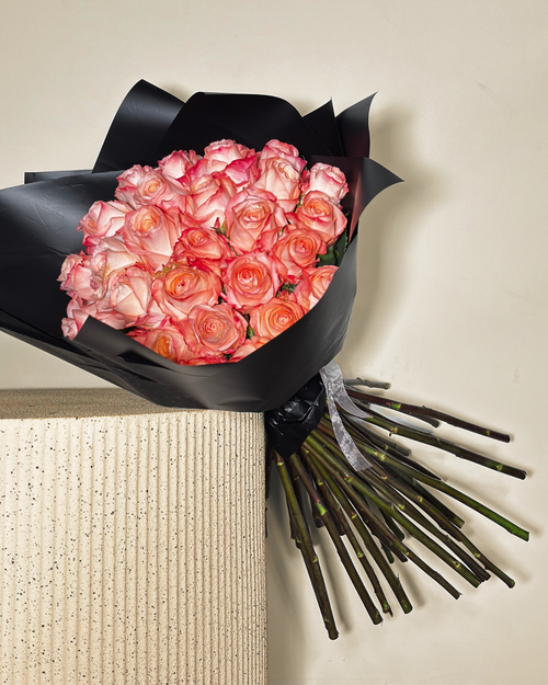 CERVANTES XL - 51 ROSAS