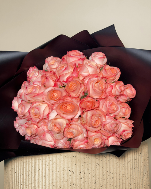 CERVANTES XL - 51 ROSAS