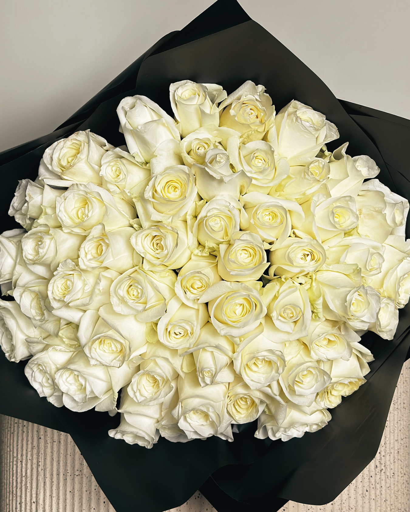 CRISTÓBAL COLÓN XL - 51 ROSAS