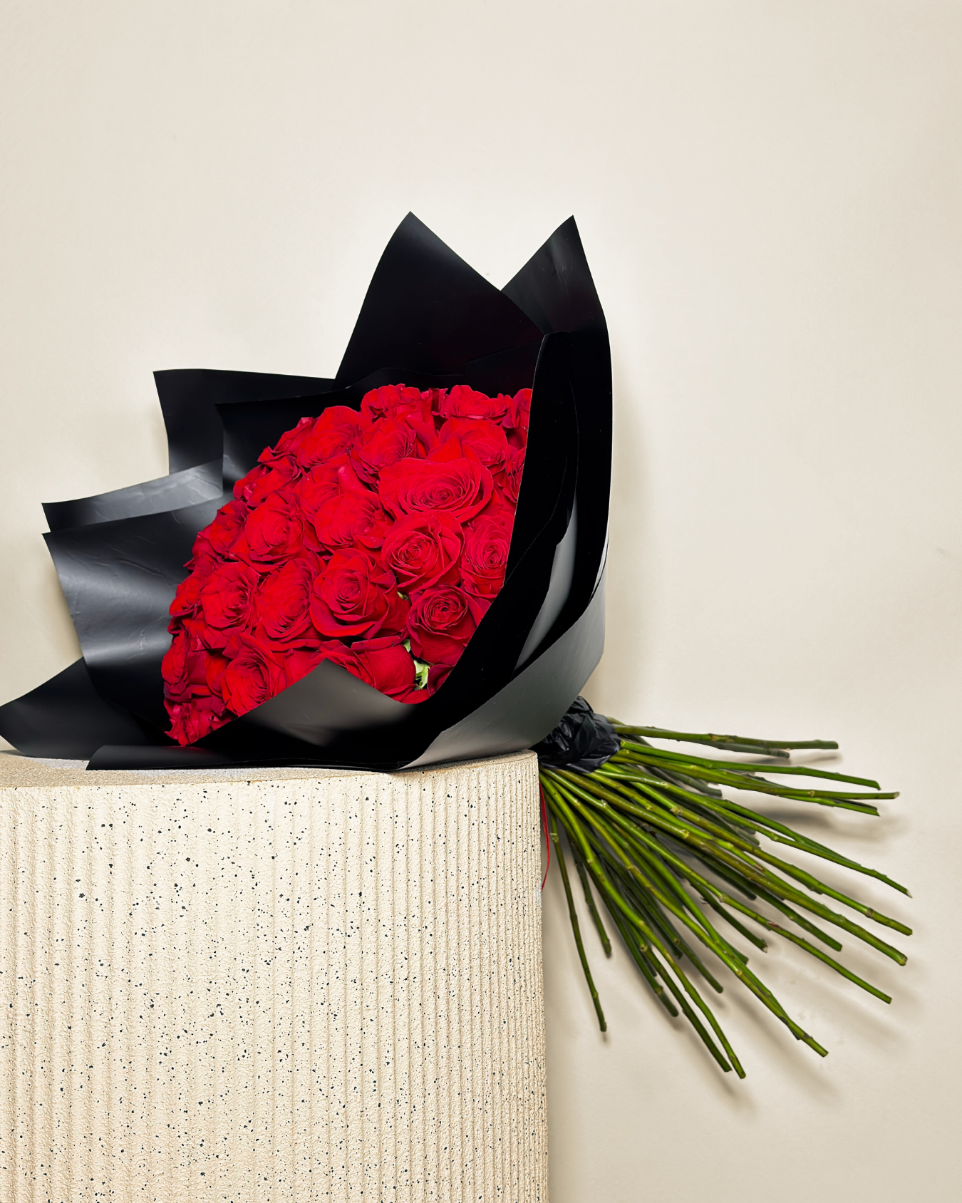 HERNÁN CORTÉS XL - 51 ROSAS