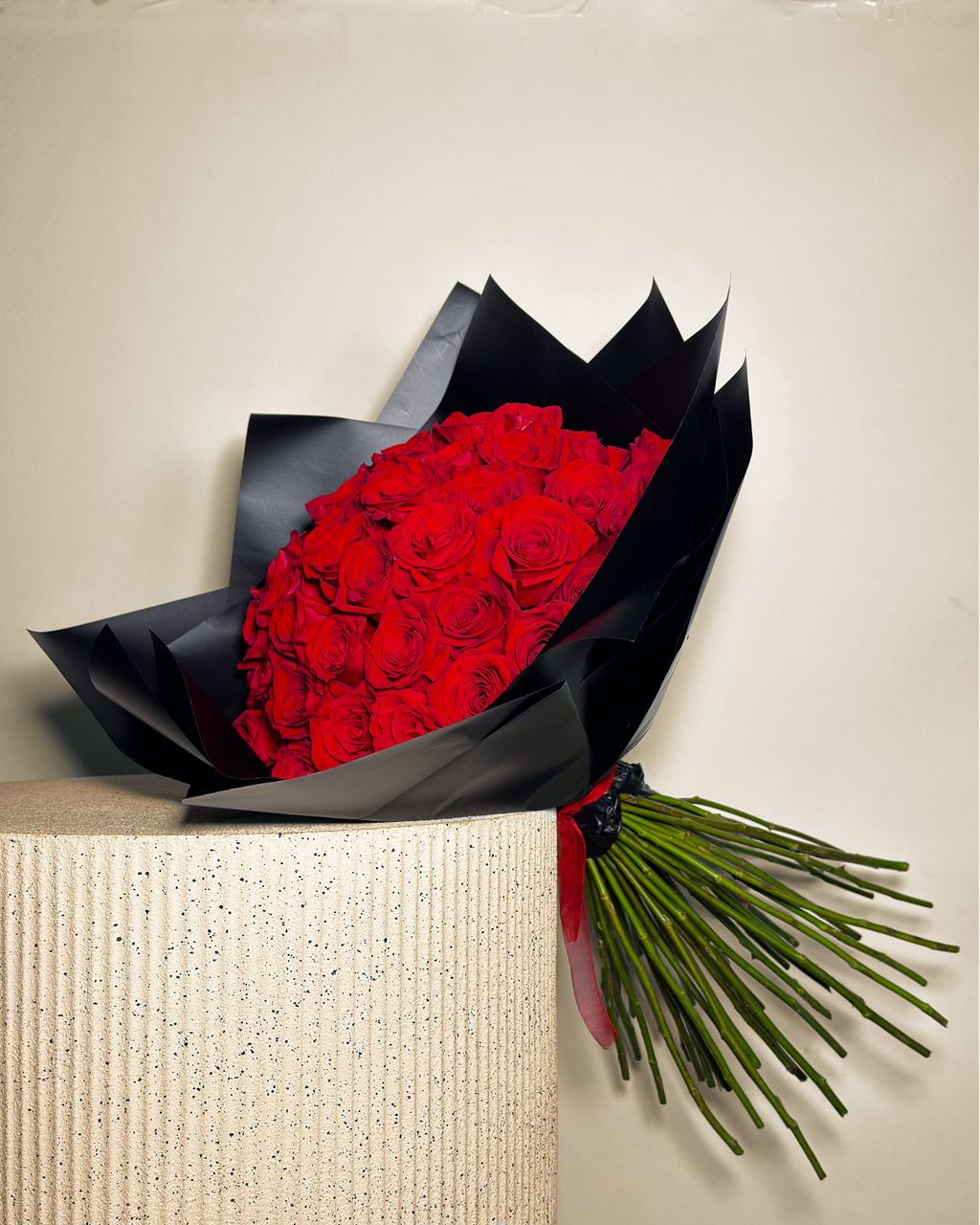 HERNÁN CORTÉS XL - 51 ROSAS