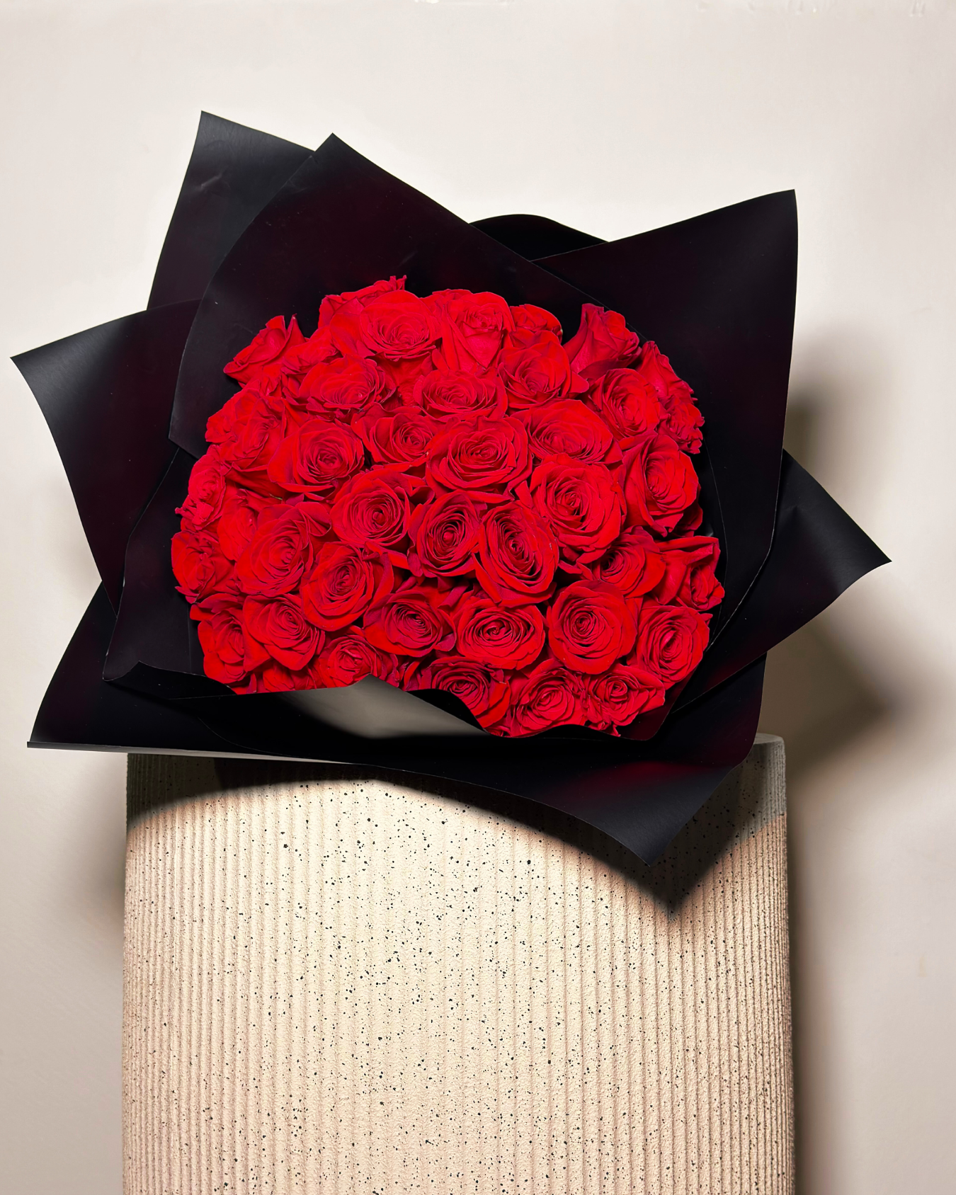 HERNÁN CORTÉS XL - 51 ROSAS