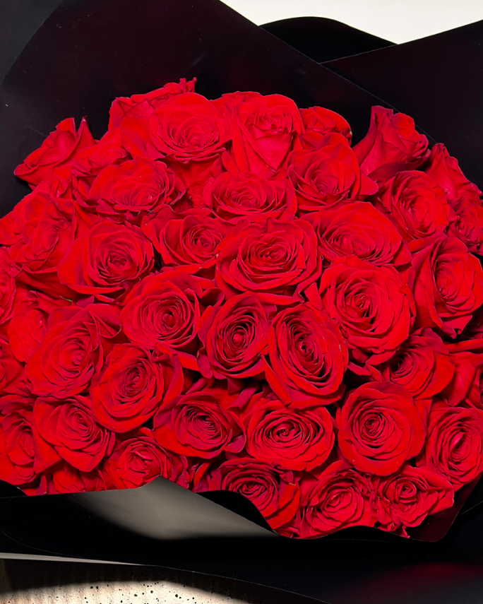 HERNÁN CORTÉS XL - 51 ROSAS