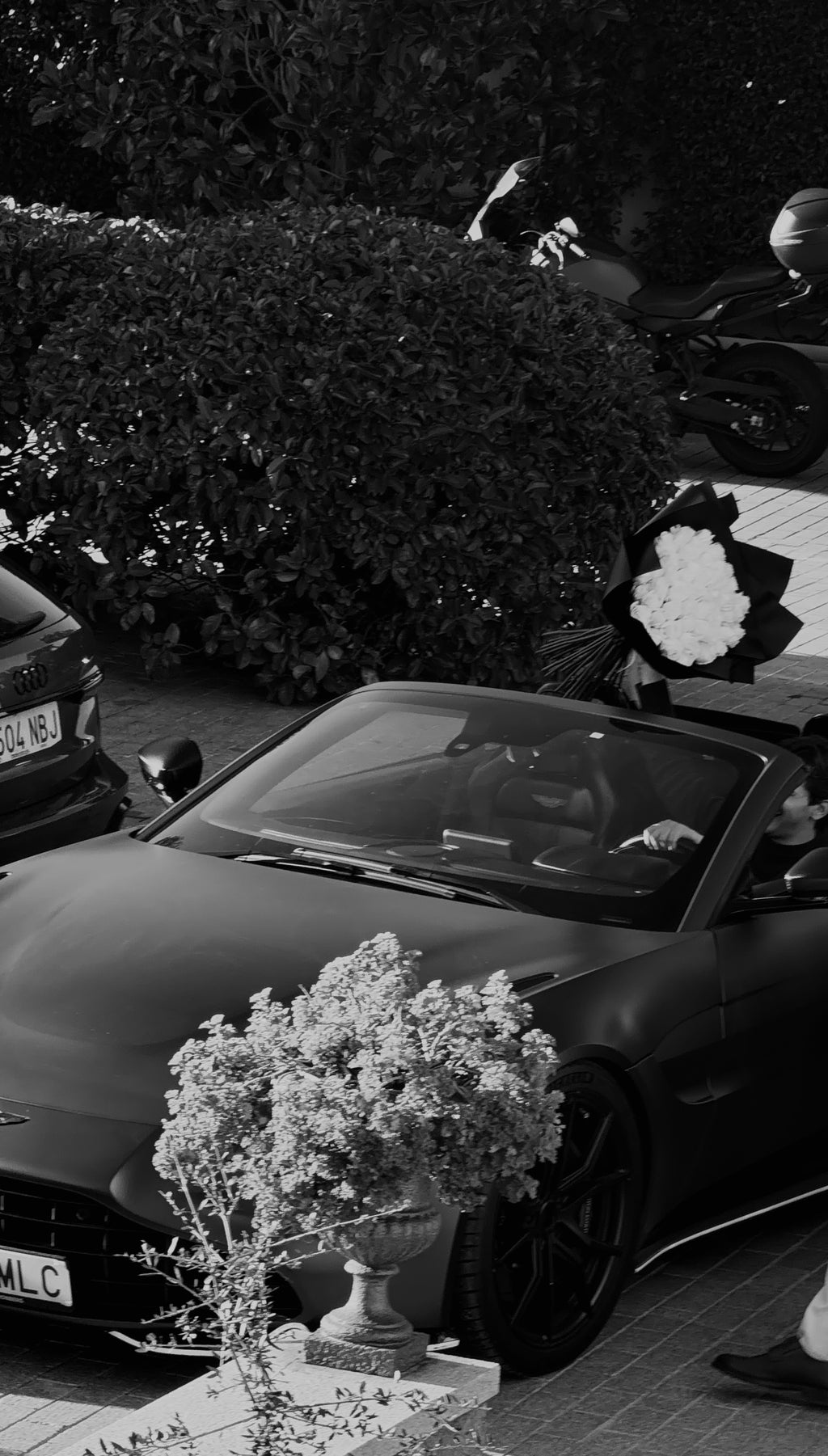 CRISTÓBAL COLÓN XL - 51 ROSAS