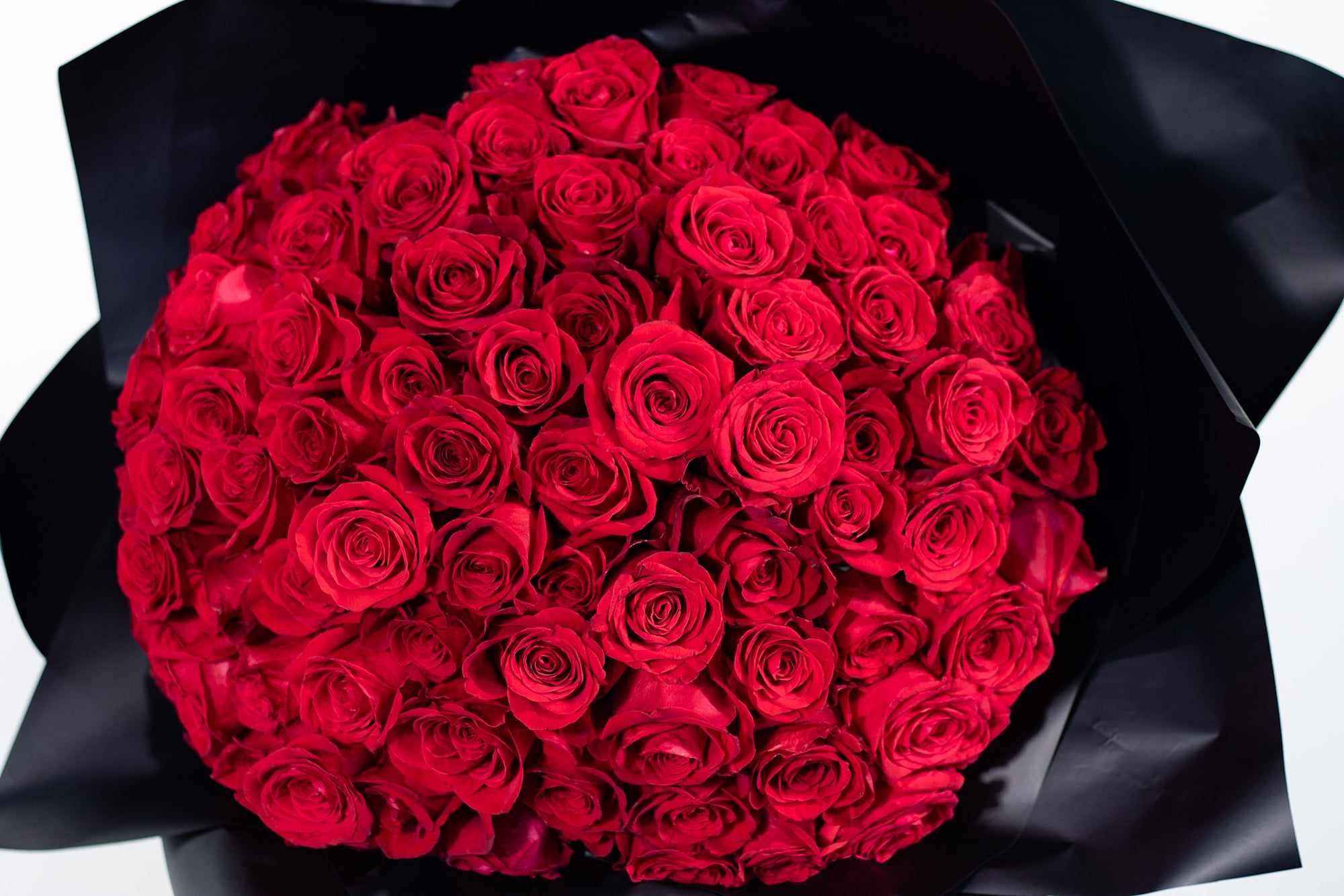 Clásica Roja 101 Premium