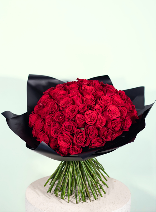 Clásica Roja 101 Premium